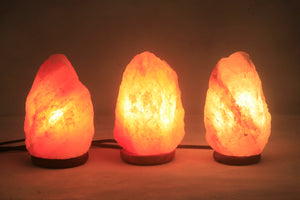 Himalayan Salt Lamp (Small 4-6 Lbs)