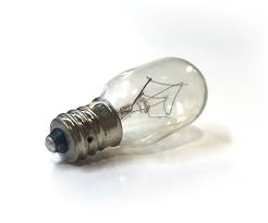 25-watt bulbs (set of 2)