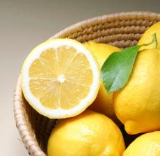 Lemon Blossom Fragrant Oil