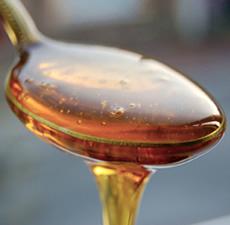 Maple Sugar Fragrant Oil